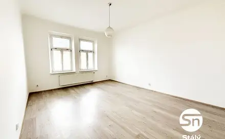 Pronájem bytu 1+1 55 m², Husova, Plzeň - Jižní Předměstí