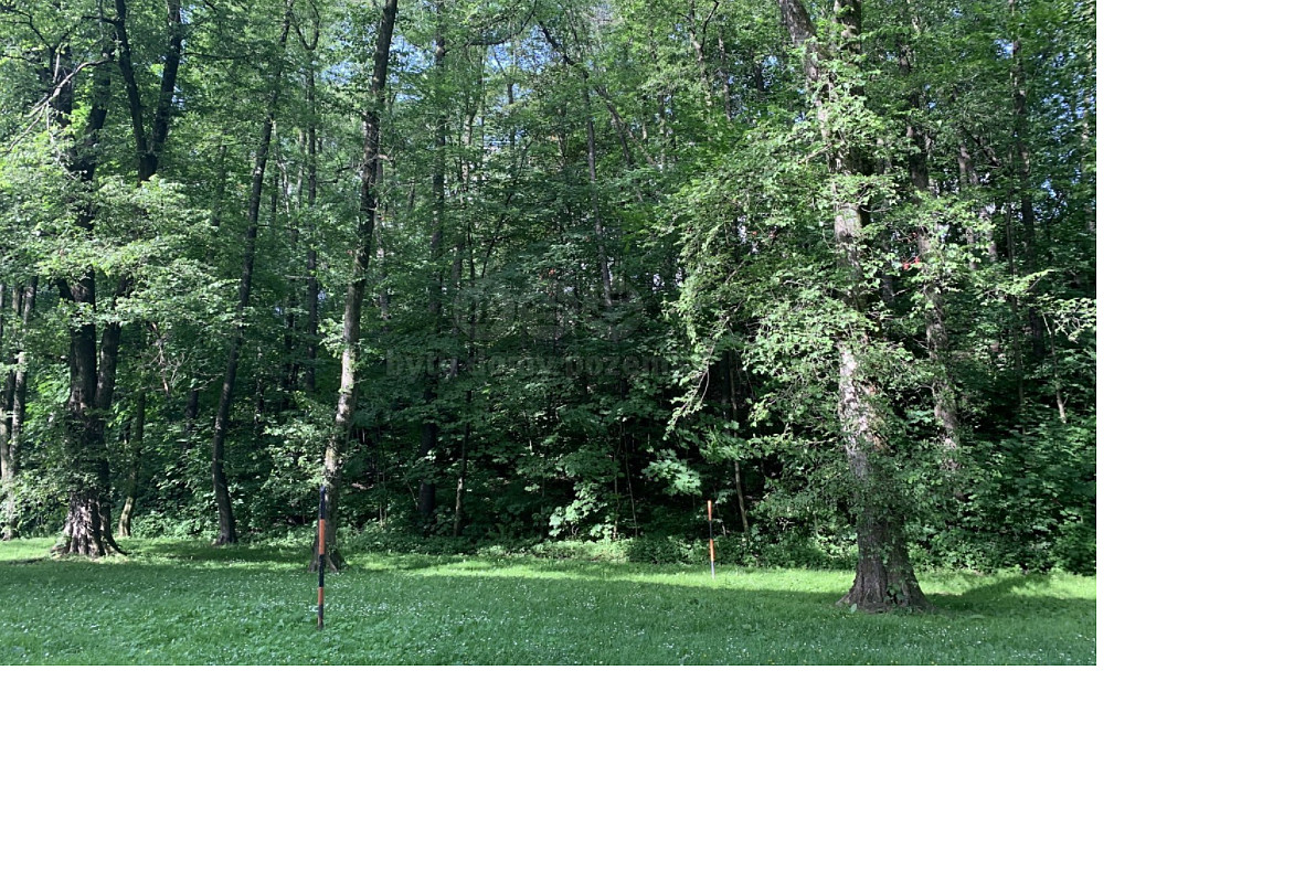 Prodej komerčního pozemku 9 272 m² — photo 2