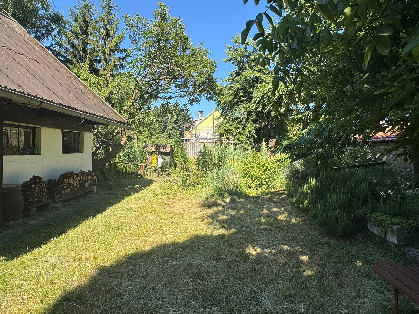 Fotka 10 z 15