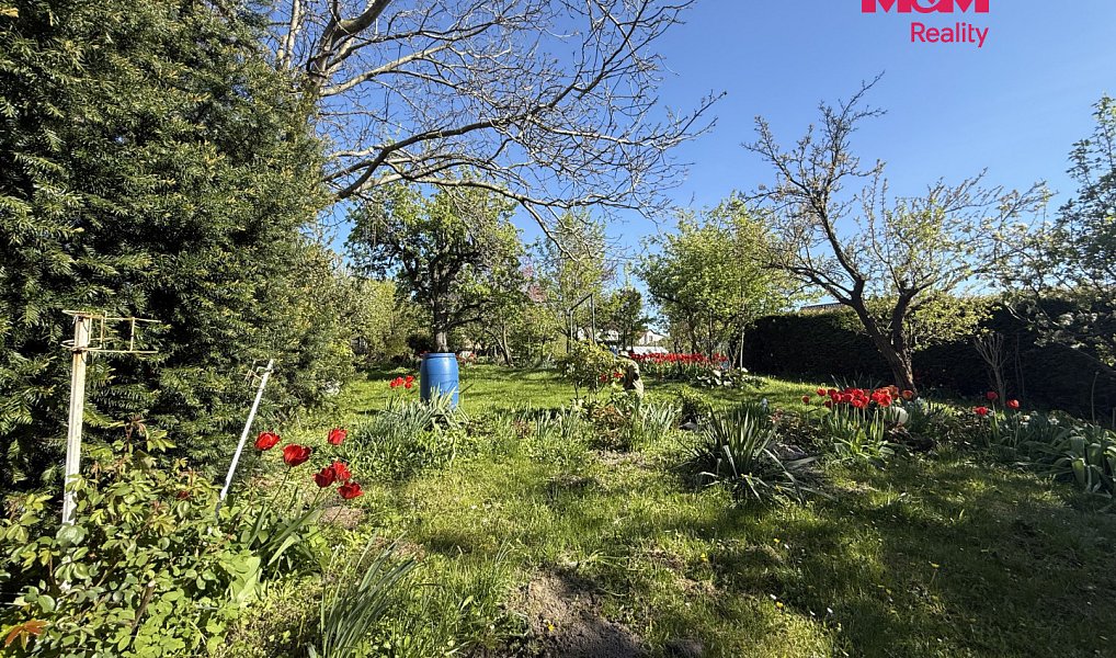 Prodej domu 120 m² s pozemkem 1 537 m², Opava – náhled fotky 19