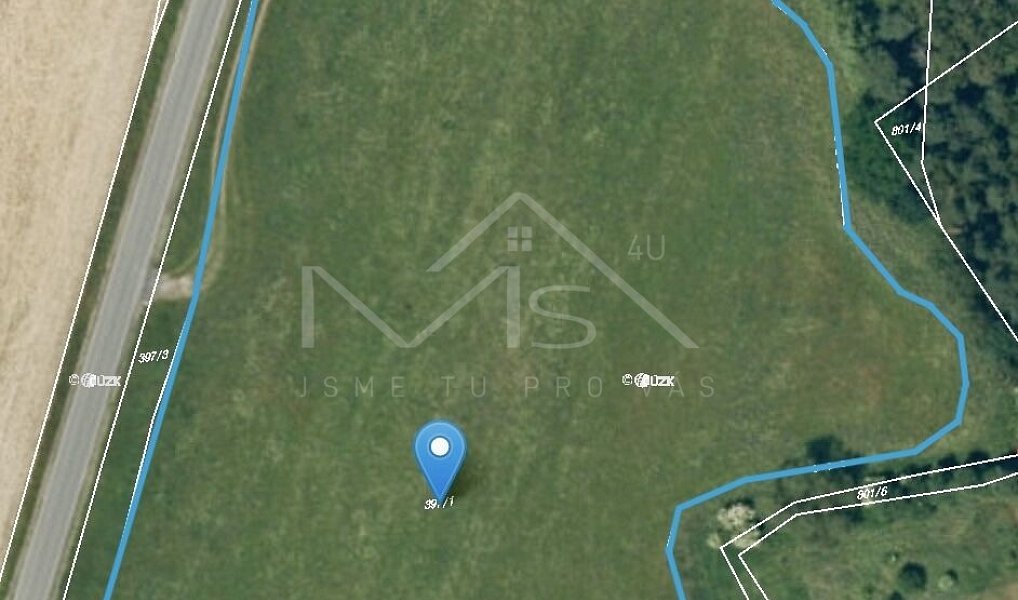 Prodej louky 20 304 m², Česká Bříza – náhled fotky 6