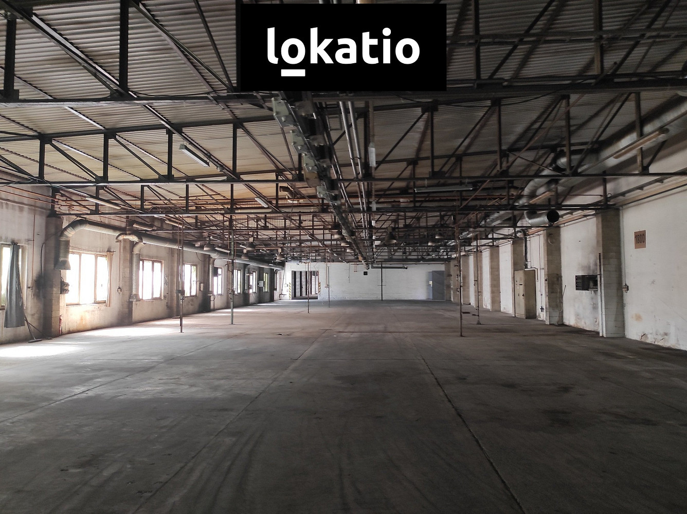 Fotka 5 z 9