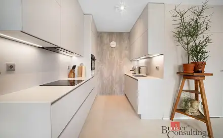 Prodej bytu 3+kk 66 m², Sekaninova, Brno - Husovice