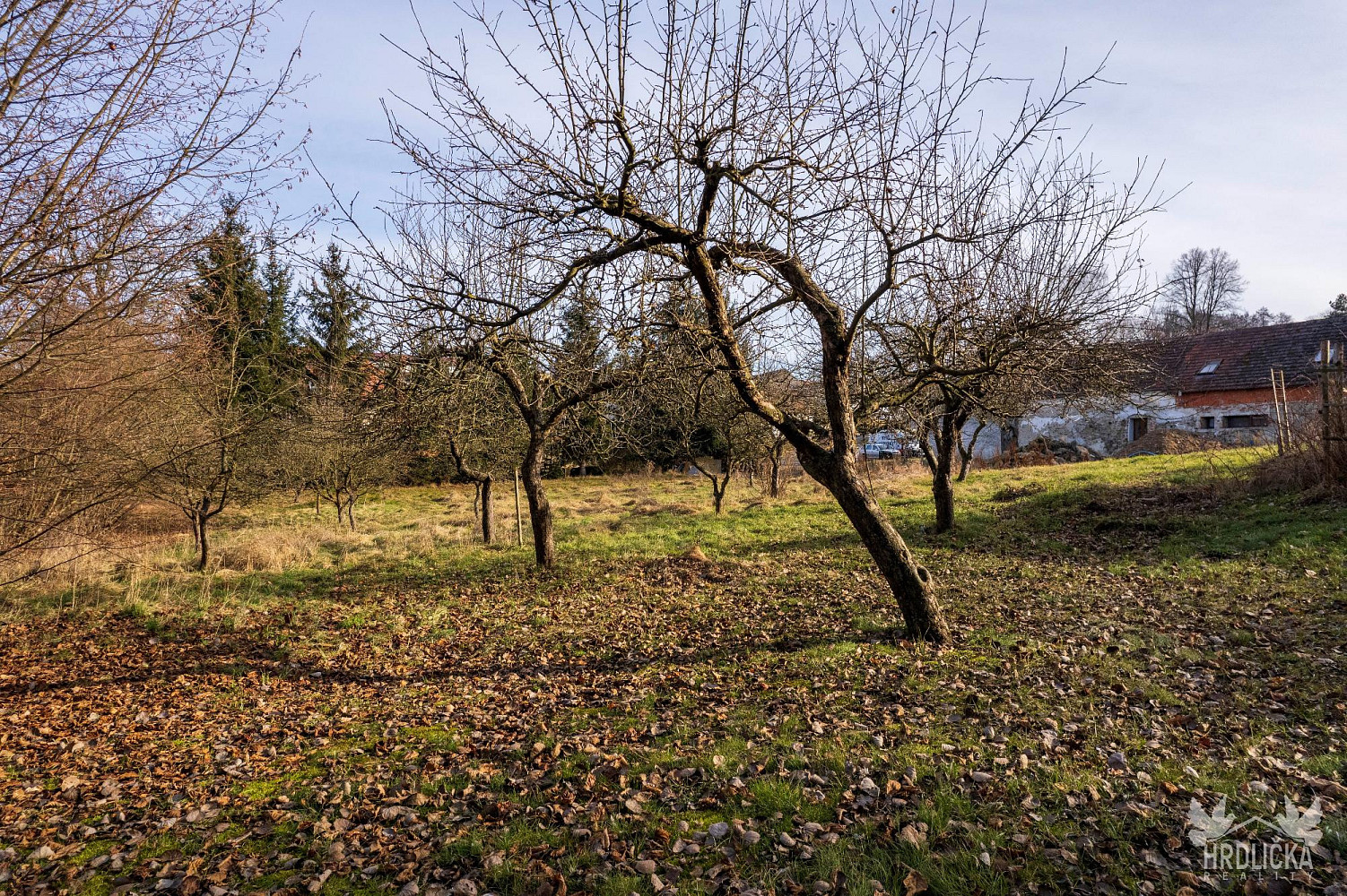 Fotka 5 z 11