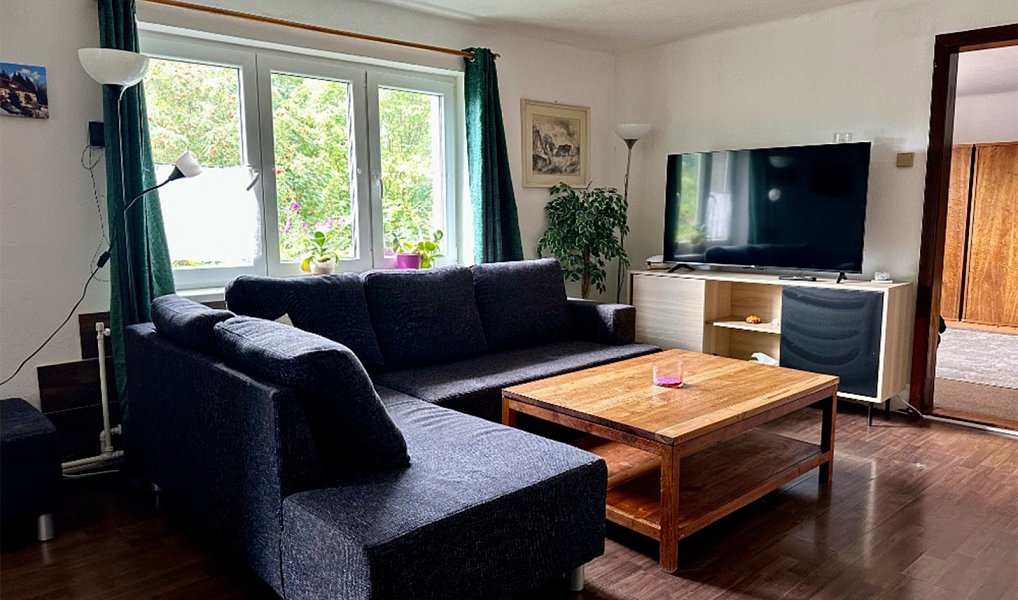 Prodej chaty/chalupy 380 m² s pozemkem 2 691 m², Desná – náhled fotky 8