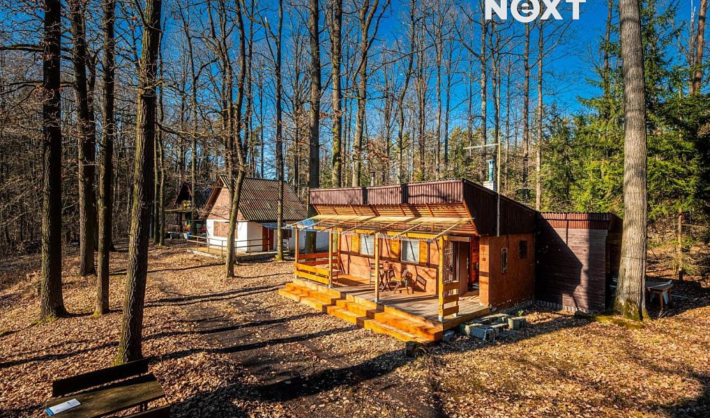 Prodej domu 43 m² s pozemkem 1 m², Vysoké Chvojno – náhled fotky 11