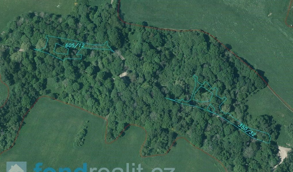 Prodej pozemku 3 575 m², Staré Město pod Landštejnem – náhled fotky 9