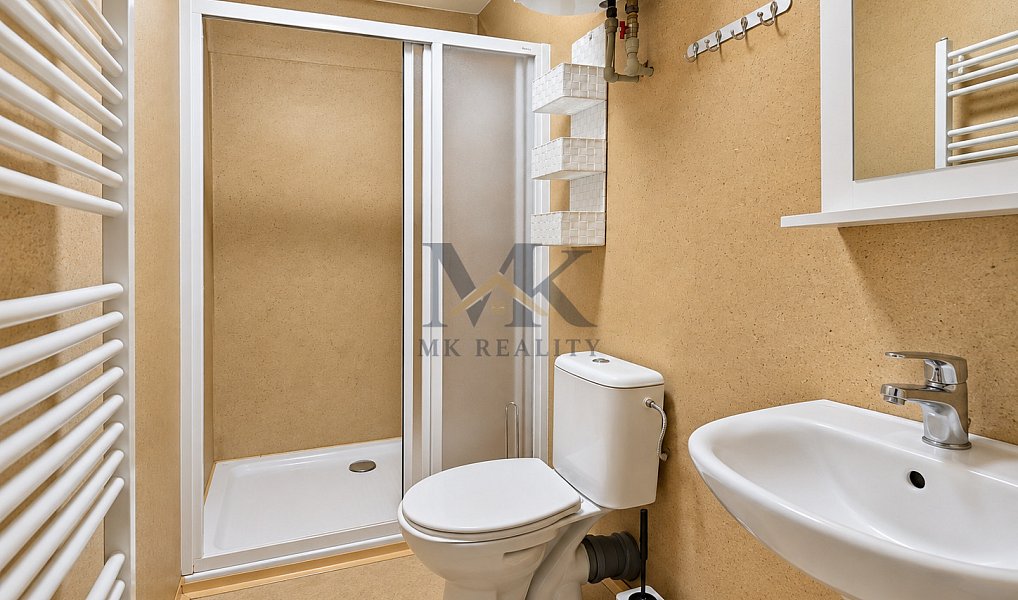 Pronájem bytu 1+kk 30 m², Zdíkov – náhled fotky 5