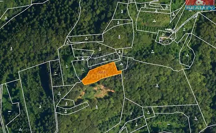 Prodej lesa 3 244 m², Halenkov, okres Vsetín