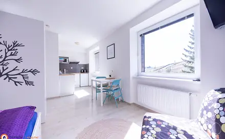 Prodej bytu 1+kk 30 m², Staré Město - Stříbrnice, okres Šumperk