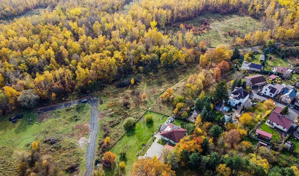Prodej stavebního pozemku 6 468 m², Košťany – náhled fotky 13