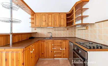 Pronájem bytu 1+1 49 m², Bořivojova, Praha 3 - Žižkov