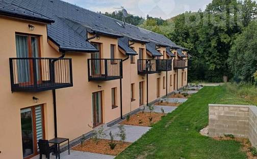 Prodej bytu 2+kk 45 m², Červená Voda - Mlýnický Dvůr, okres Ústí nad Orlicí