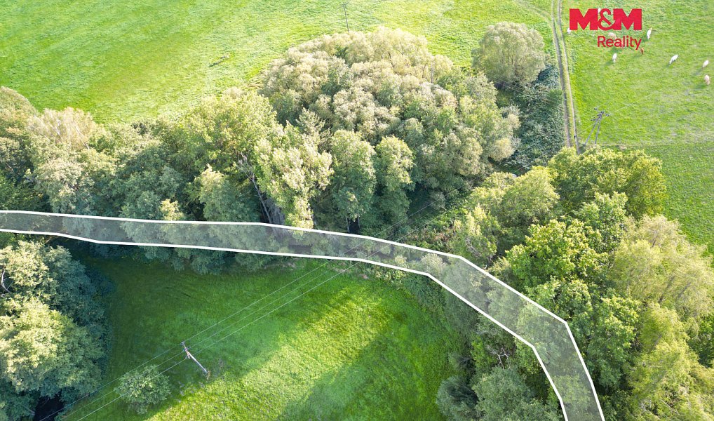 Prodej vodní plochy 4 011 m², Strážov – náhled fotky 9
