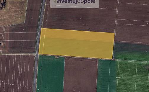 Prodej pole 19 145 m², Břest, okres Kroměříž