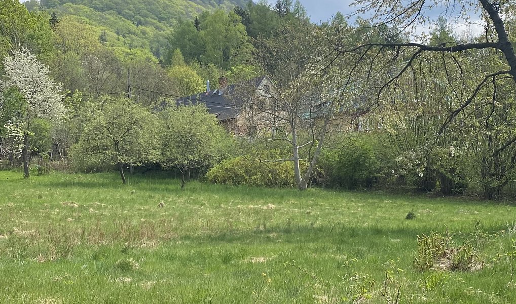 Prodej stavebního pozemku 1 625 m², Bílý Potok – náhled fotky 9