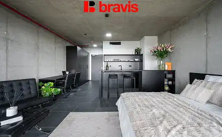 Pronájem bytu 1+kk 35 m², Královopolská, Brno - Žabovřesky