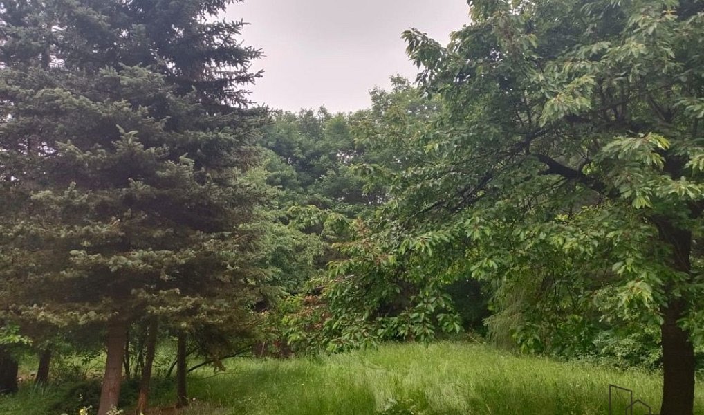 Prodej chaty/chalupy 36 m² s pozemkem 38 m², Velké Chvojno – náhled fotky 13
