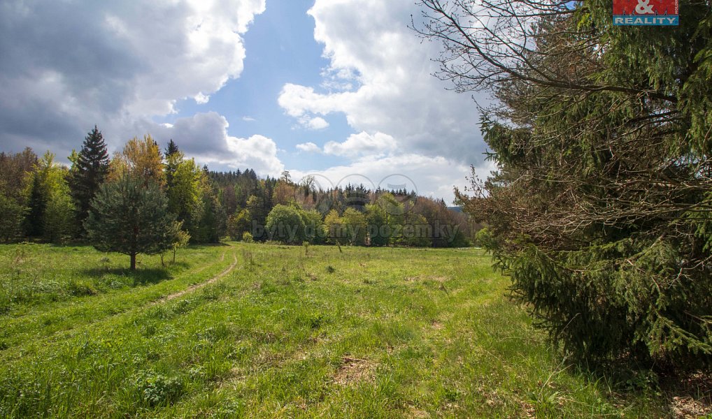 Prodej louky 3 586 m², Velenov – náhled fotky 2