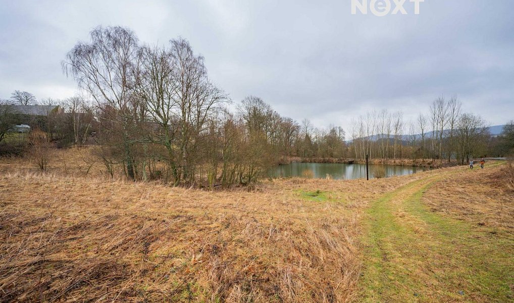 Prodej stavebního pozemku 1 400 m², Malá Morava – náhled fotky 11