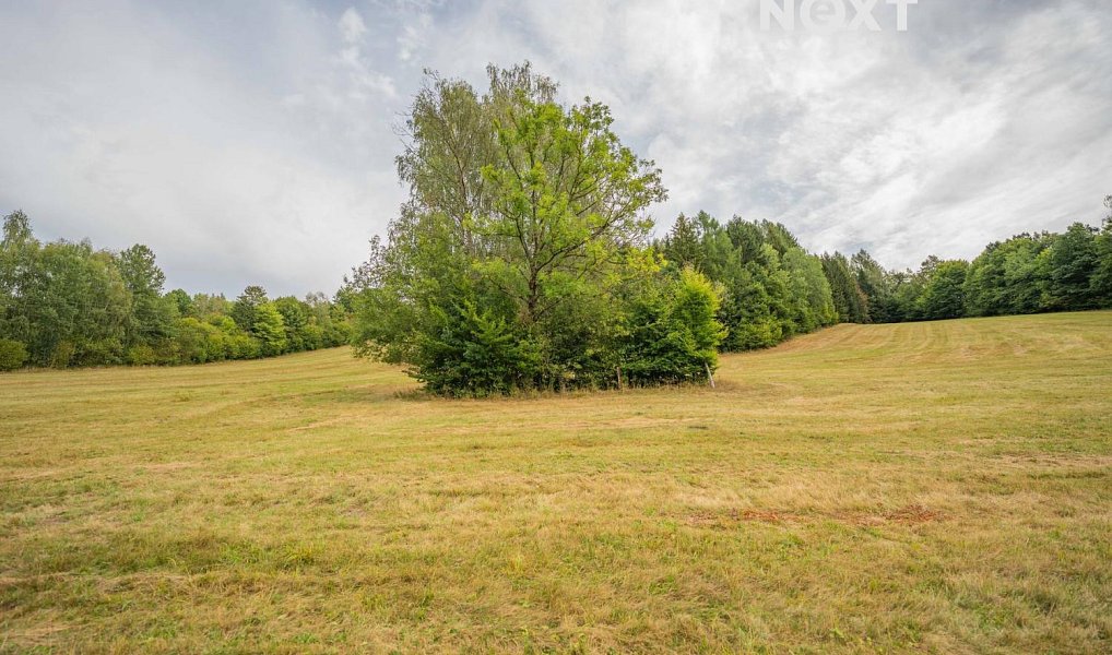 Prodej domu 145 m² s pozemkem 3 257 m², Oskava – náhled fotky 22