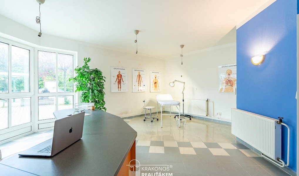 Pronájem komerčního objektu (jiného typu) 96 m², Hranice – náhled fotky 7