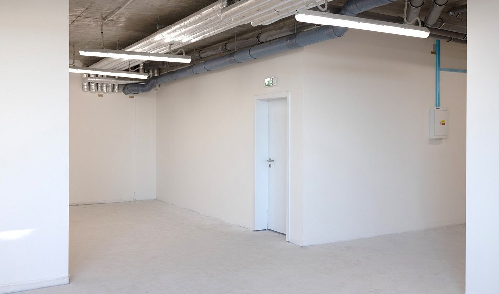 Prodej obchodních prostor 135 m², Praha – náhled fotky 8