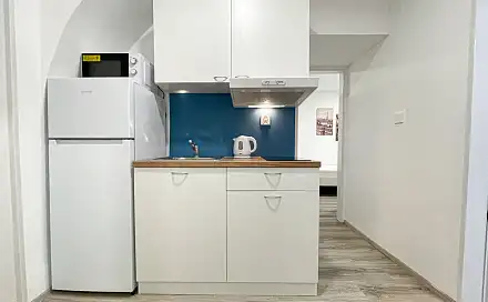 Pronájem bytu 2+1 35 m², Mendlovo náměstí, Brno - Staré Brno