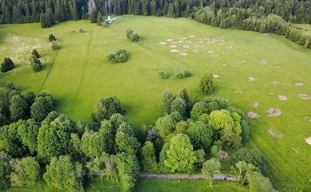 Prodej stavebního pozemku 2 281 m², Lesná, okres Tachov