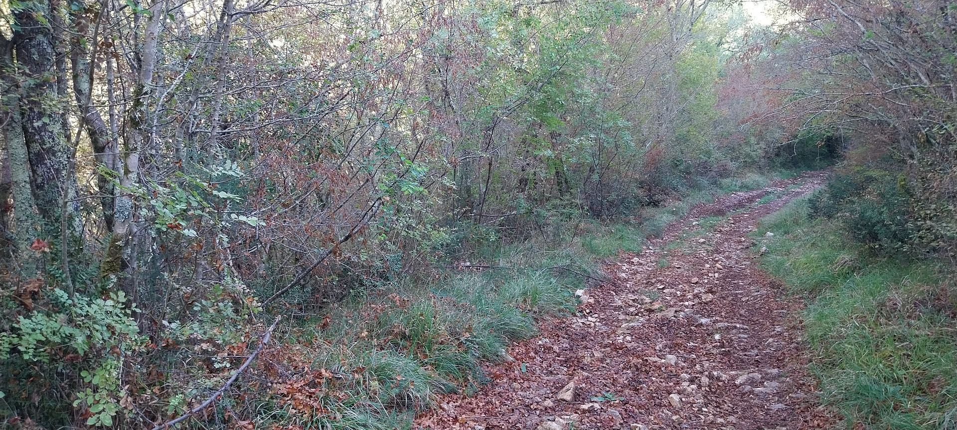 Prodej pole 6 605 m²