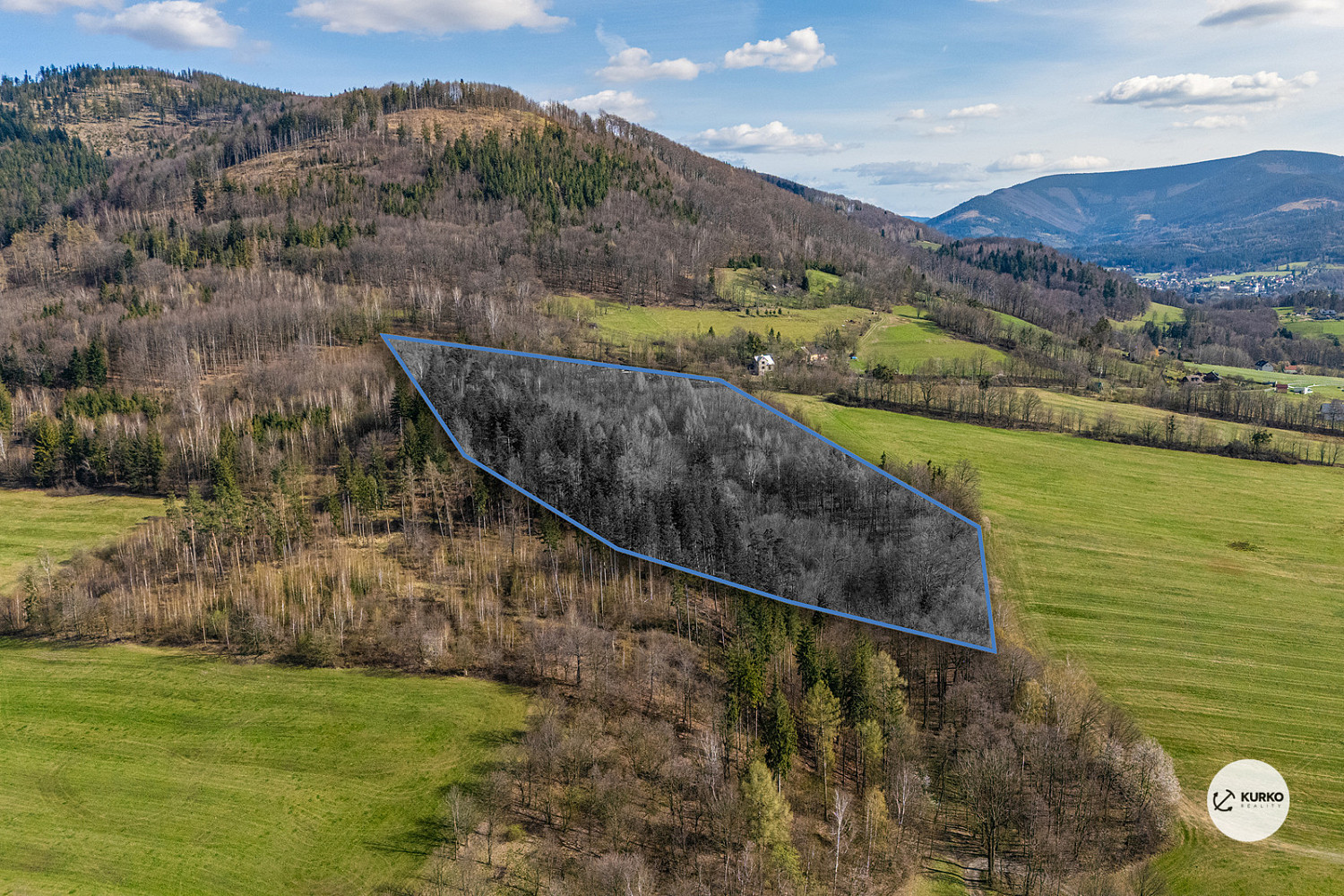 Prodej lesa 20 736 m²