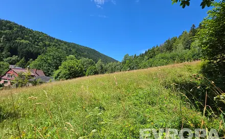 Prodej stavebního pozemku 6 703 m², Desná, okres Jablonec nad Nisou