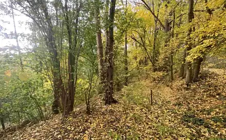 Dražba pozemku 2 639 m², Svijany