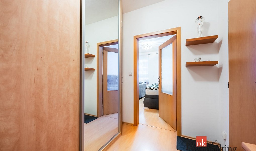 Prodej bytu 1+kk 40 m², Brno – náhled fotky 9