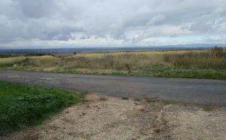 Dražba pole 6 750 m², Liběšice, okres Louny
