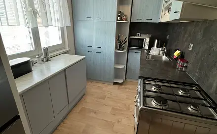 Pronájem bytu 3+1 60 m², Pionýrská, Bruntál