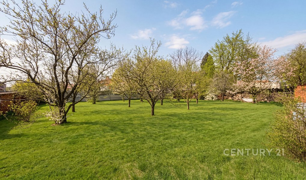 Prodej domu 366 m² s pozemkem 1 404 m², Protivanov – náhled fotky 4