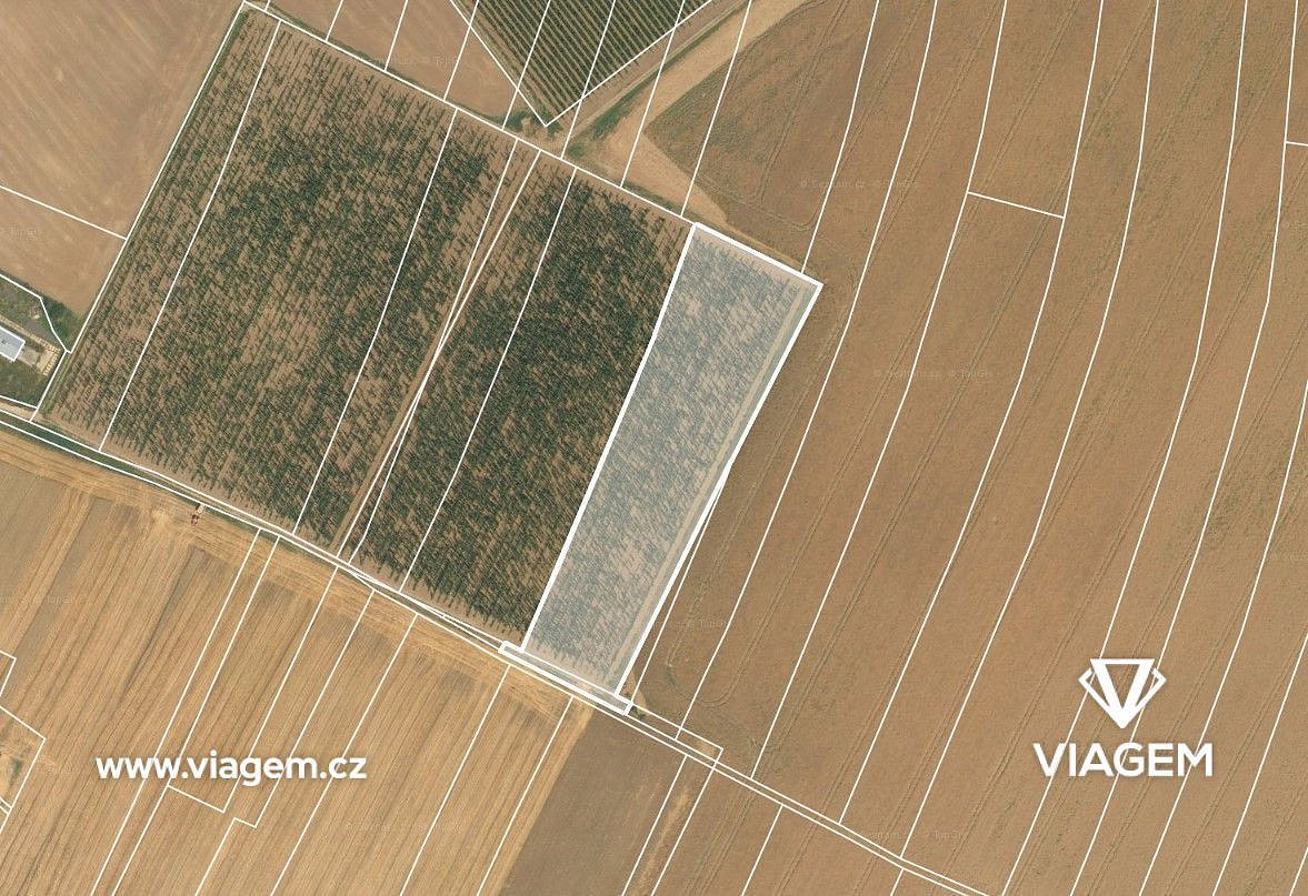 Prodej pole 3 600 m²