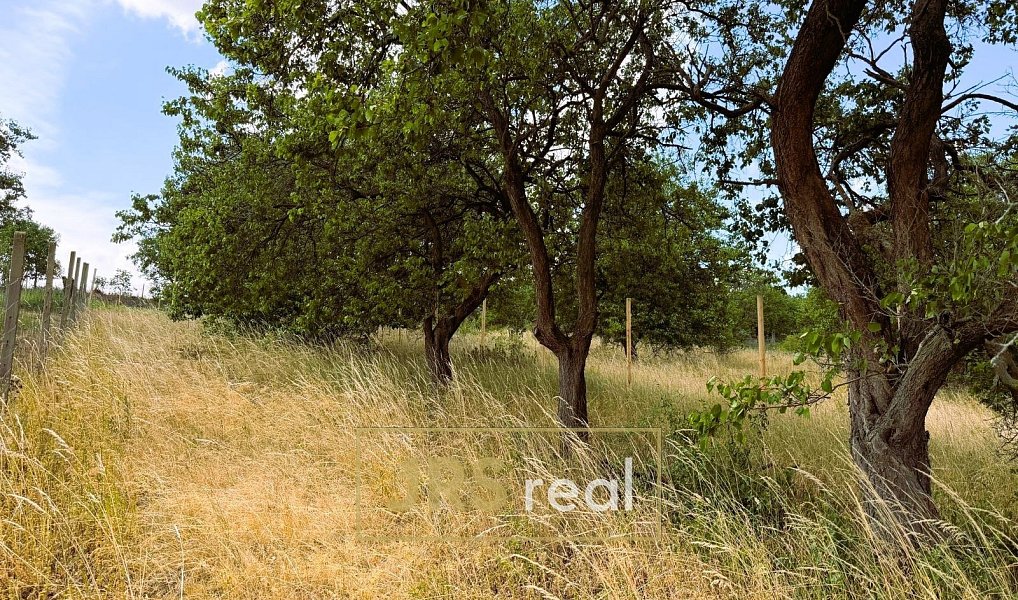 Prodej pole 358 m², Němčičky – náhled fotky 7