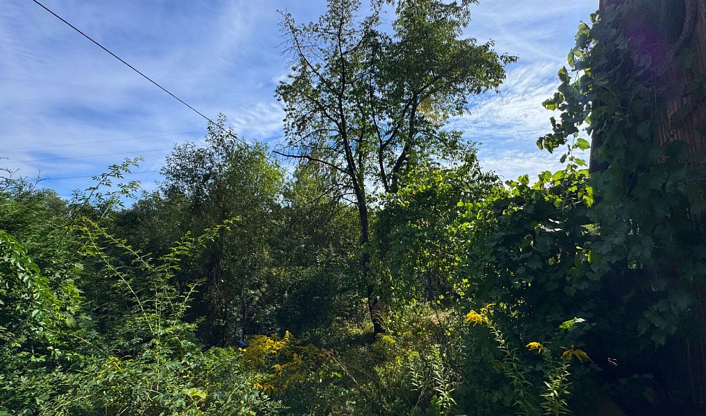 Prodej chaty/chalupy 48 m² s pozemkem 829 m², Kestřany – náhled fotky 7