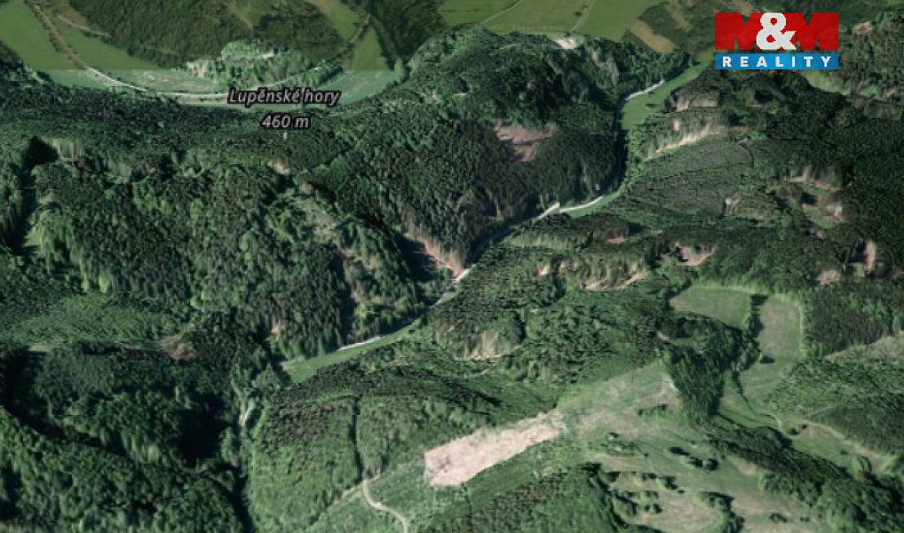 Prodej lesa 12 967 m², Nemile – náhled fotky 4
