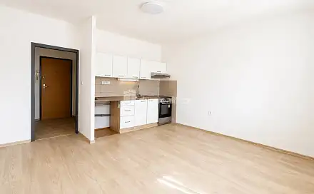 Pronájem bytu 2+kk 40 m², Šrámkova, Ústí nad Labem - Severní Terasa