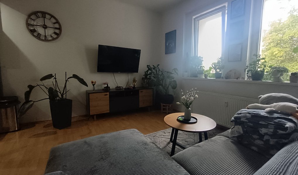 Pronájem bytu 2+kk 60 m², Sokolov – náhled fotky 4