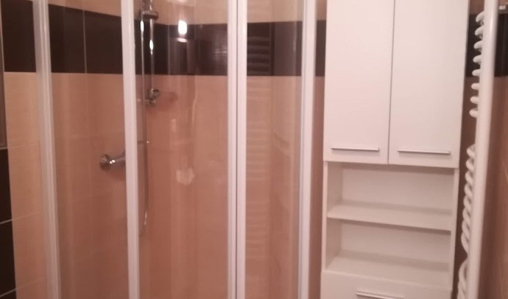 Pronájem bytu 1+kk 31 m², Plzeň – náhled fotky 4