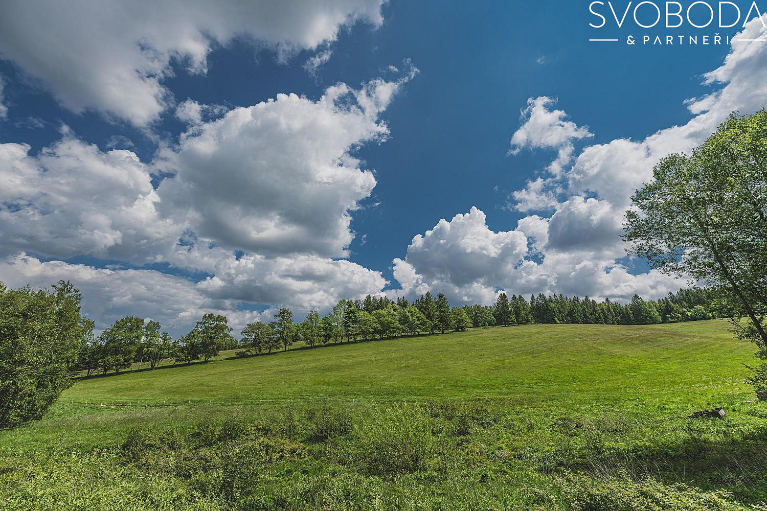 Prodej stavebního pozemku 5 600 m² — photo 4