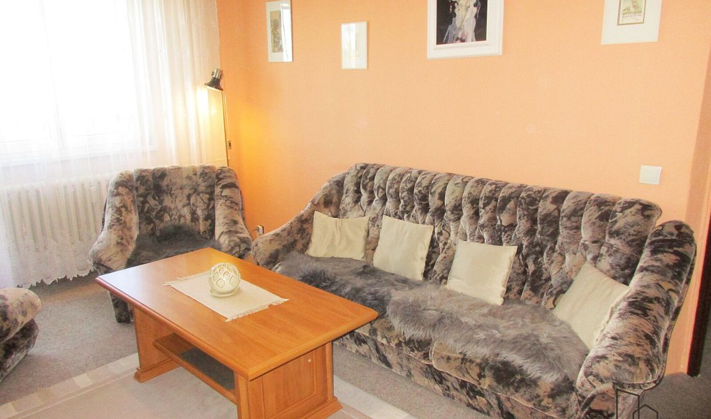 Pronájem bytu 2+1 55 m², Veselí nad Moravou – náhled fotky 7