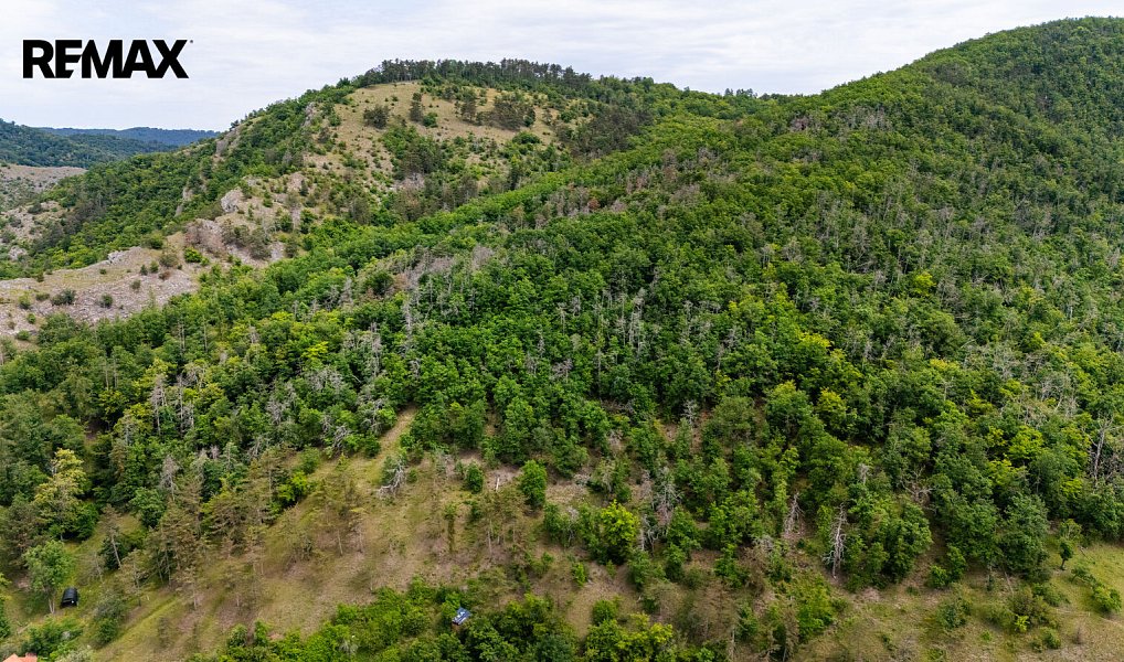 Prodej stavebního pozemku 2 004 m², Beroun – náhled fotky 18