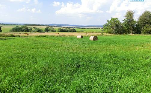 Prodej stavebního pozemku 3 885 m², Radenín, okres Tábor