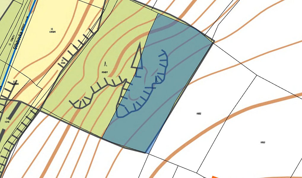 Prodej lesa 13 811 m², Ždánice – náhled fotky 3