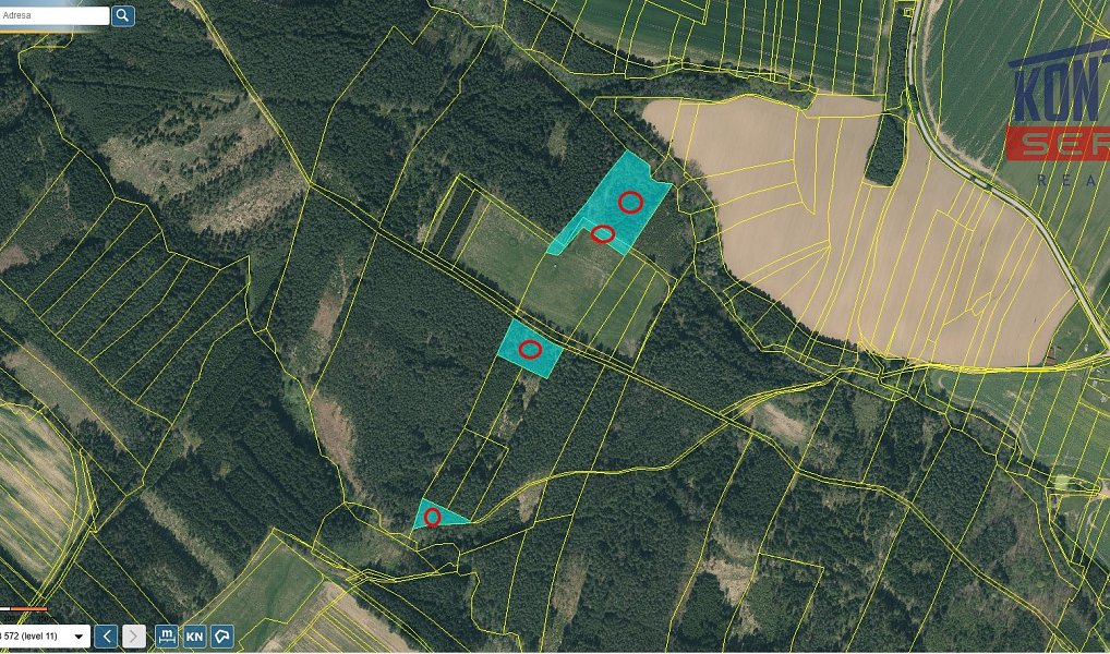 Prodej lesa 23 812 m², Bečice – náhled fotky 3